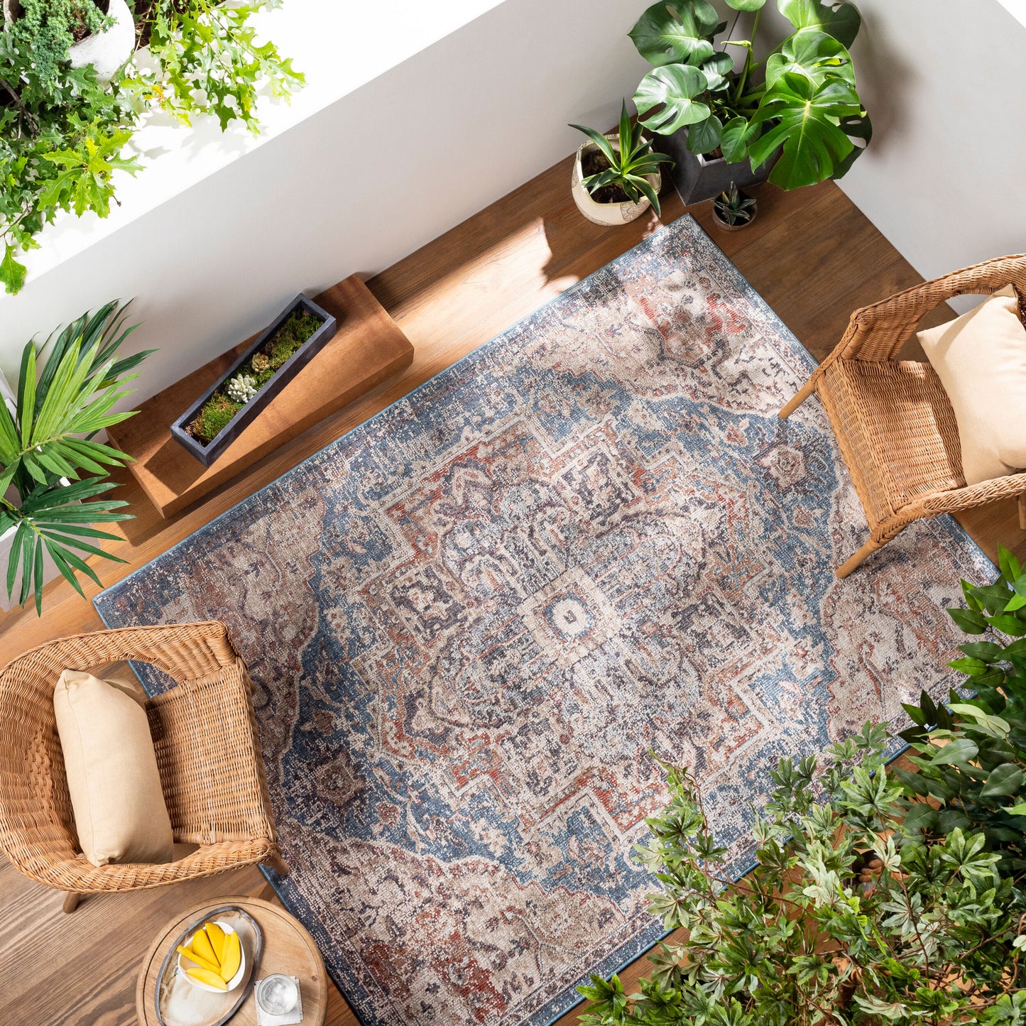 Alfombra Daytona Beach DYT-2313 de 2,7 x 3,6 m, tejida a máquina, para interior y exterior