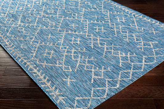 Eagean EAG-2329 2' x 3' Machine Woven Indoor/Outdoor Accent Rug