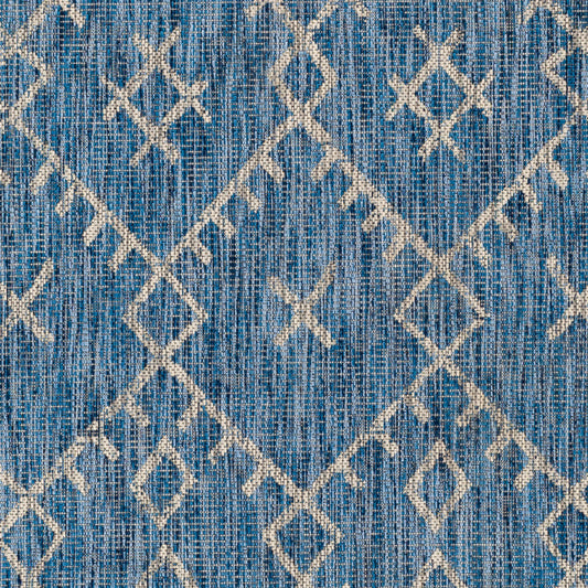 Eagean EAG-2329 2' x 3' Machine Woven Indoor/Outdoor Accent Rug
