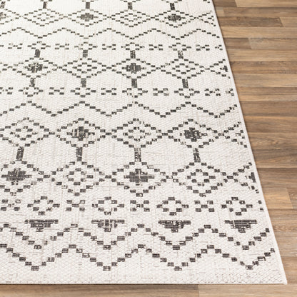 Eagean EAG-2339 2' x 3' Machine Woven Indoor/Outdoor Accent Rug