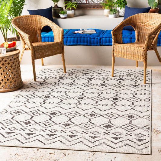 Eagean EAG-2339 2' x 3' Machine Woven Indoor/Outdoor Accent Rug