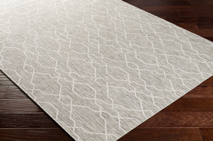 Eagean EAG-2385 2' x 3' Machine Woven Indoor/Outdoor Accent Rug