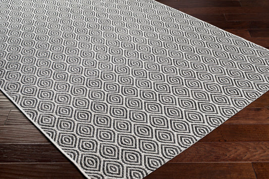 Alfombra tejida a máquina para interiores y exteriores Eagean EAG-2387 de 8' x 10'