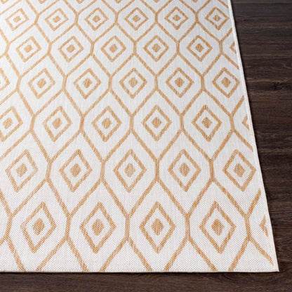Eagean EAG-2390 5' x 7' Machine Woven Indoor/Outdoor Area Rug