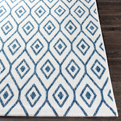 Eagean EAG-2391 2' x 3' Machine Woven Indoor/Outdoor Accent Rug