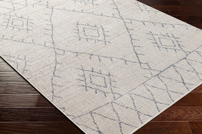 Eagean EAG-2401 12ft Runner Machine Woven Indoor/Outdoor Runner Rug