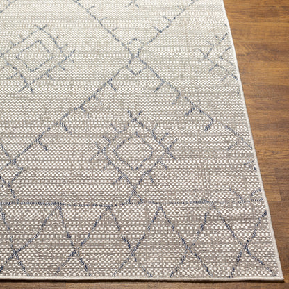 Eagean EAG-2401 12ft Runner Machine Woven Indoor/Outdoor Runner Rug