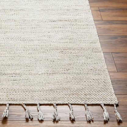 Esther EHR-2303 2' x 3' Handmade Recyled Accent Rug