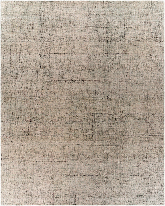 Alfombra decorativa de lana hecha a mano Emily EIL-2300 de 2' x 3'