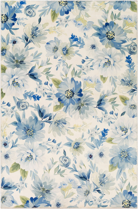 Erin ERN-2313 2' x 3' Machine Woven Accent Rug