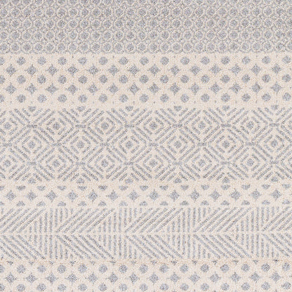 Alfombra decorativa tejida a máquina Euphoria ERP-2302 de 2' x 3'