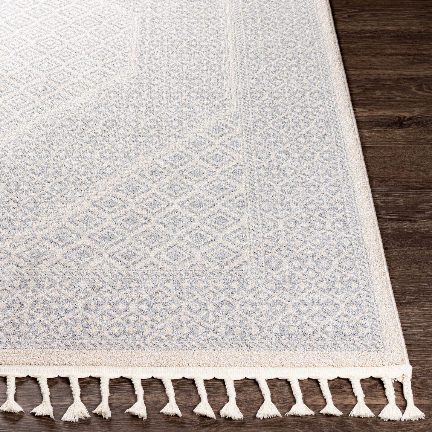 Alfombra decorativa tejida a máquina Euphoria ERP-2303 de 2' x 3'