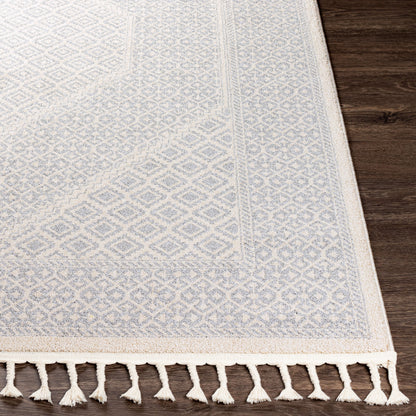 Alfombra decorativa tejida a máquina Euphoria ERP-2303 de 2' x 3'