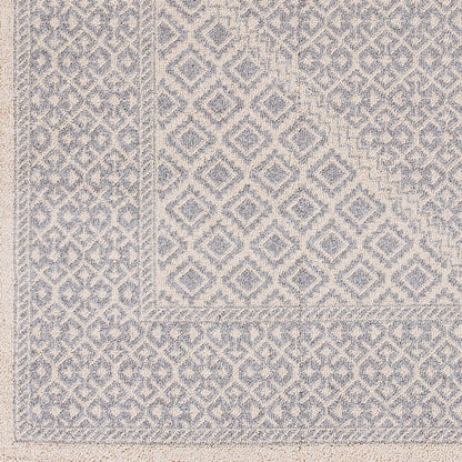 Alfombra decorativa tejida a máquina Euphoria ERP-2303 de 2' x 3'