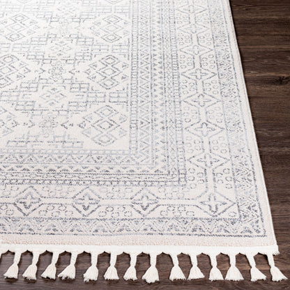 Alfombra decorativa tejida a máquina Euphoria ERP-2304 de 2' x 3'