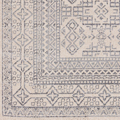 Alfombra decorativa tejida a máquina Euphoria ERP-2304 de 2' x 3'