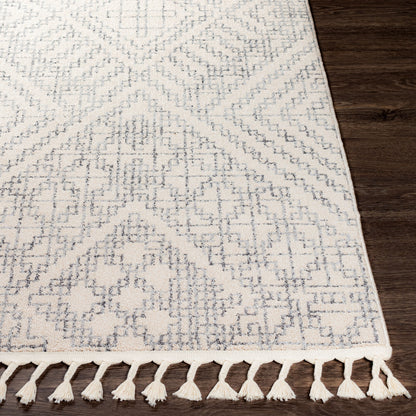 Alfombra tejida a máquina Euphoria ERP-2305 de 1,52 m x 2,13 m