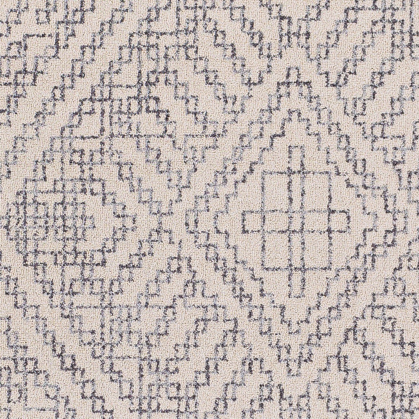 Alfombra decorativa tejida a máquina Euphoria ERP-2305 de 2' x 3'