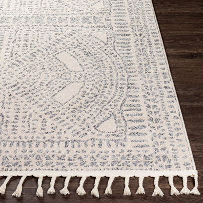 Alfombra decorativa tejida a máquina Euphoria ERP-2306 de 2' x 3'