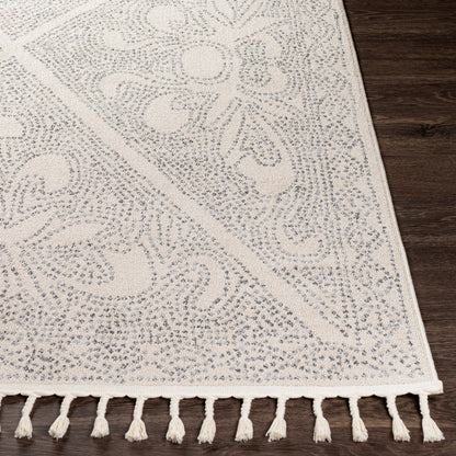 Euphoria ERP-2308 6' x 9' Machine Woven Area Rug