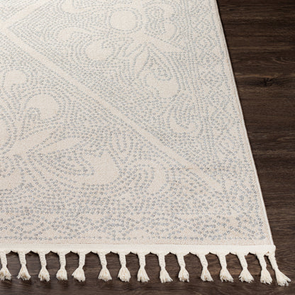 Alfombra decorativa tejida a máquina Euphoria ERP-2309 de 2' x 3'