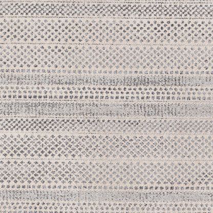 Alfombra decorativa tejida a máquina Euphoria ERP-2312 de 2' x 3'