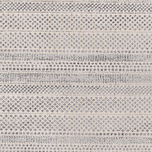 Alfombra decorativa tejida a máquina Euphoria ERP-2312 de 2' x 3'