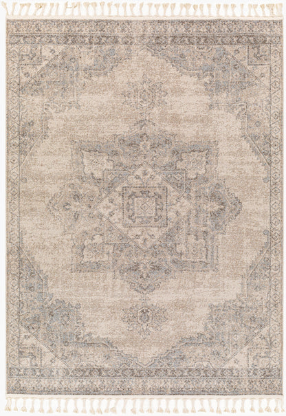 Alfombra decorativa tejida a máquina Euphoria ERP-2317 de 2' x 3'
