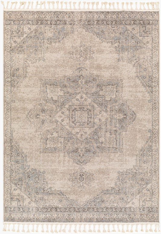 Alfombra decorativa tejida a máquina Euphoria ERP-2317 de 2' x 3'