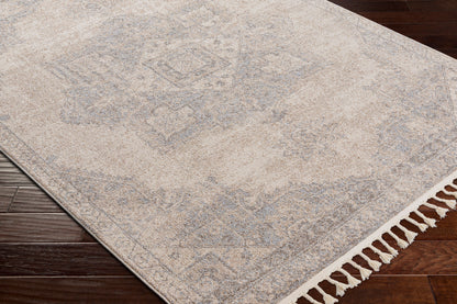 Alfombra decorativa tejida a máquina Euphoria ERP-2317 de 2' x 3'