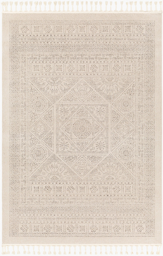 Alfombra decorativa tejida a máquina Euphoria ERP-2318 de 2' x 3'