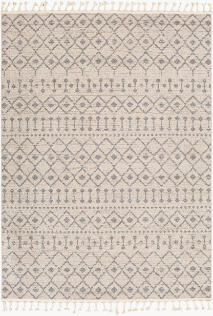 Alfombra tejida a máquina Euphoria ERP-2321 de 1,52 m x 2,13 m