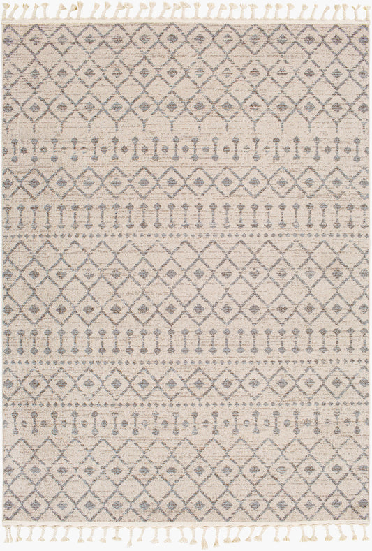Alfombra tejida a máquina Euphoria ERP-2321 de 1,52 m x 2,13 m