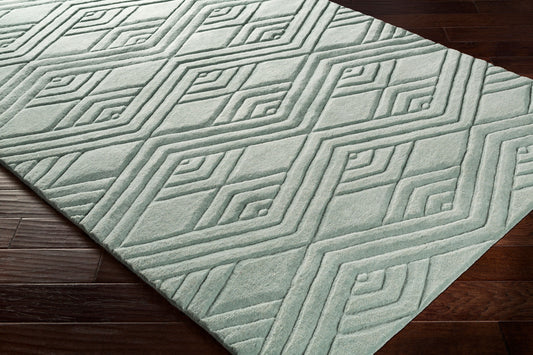 Alfombra decorativa de lana hecha a mano con grabado ETC-5003 de 2' x 3'