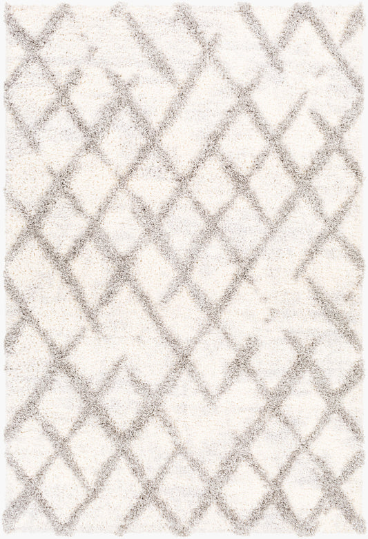 Everton ETN-2300 5' x 7' Machine Woven Area Rug