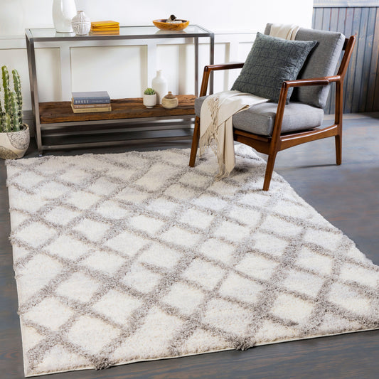 Everton ETN-2300 5' x 7' Machine Woven Area Rug