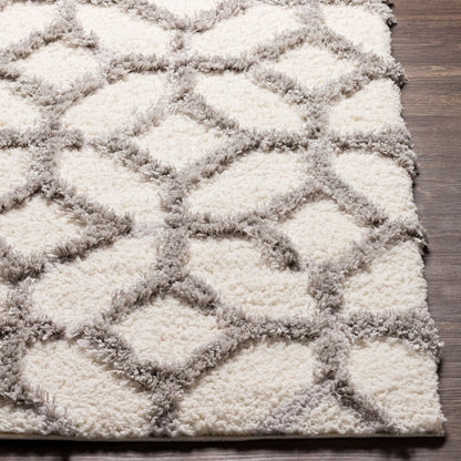 Everton ETN-2302 2' x 3' Machine Woven Accent Rug