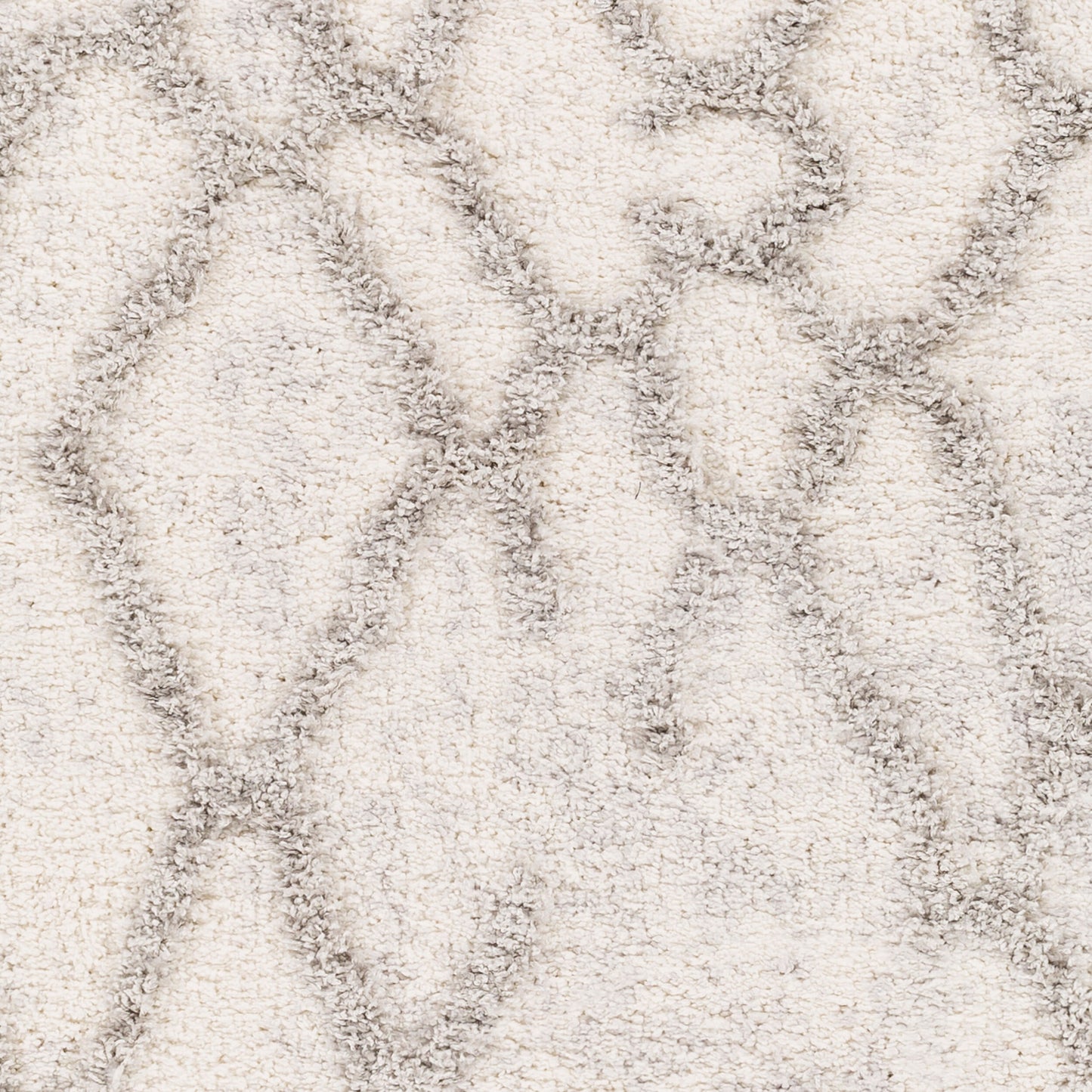 Everton ETN-2303 2' x 3' Machine Woven Accent Rug