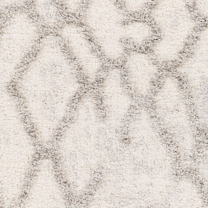 Everton ETN-2303 5' x 7' Machine Woven Area Rug