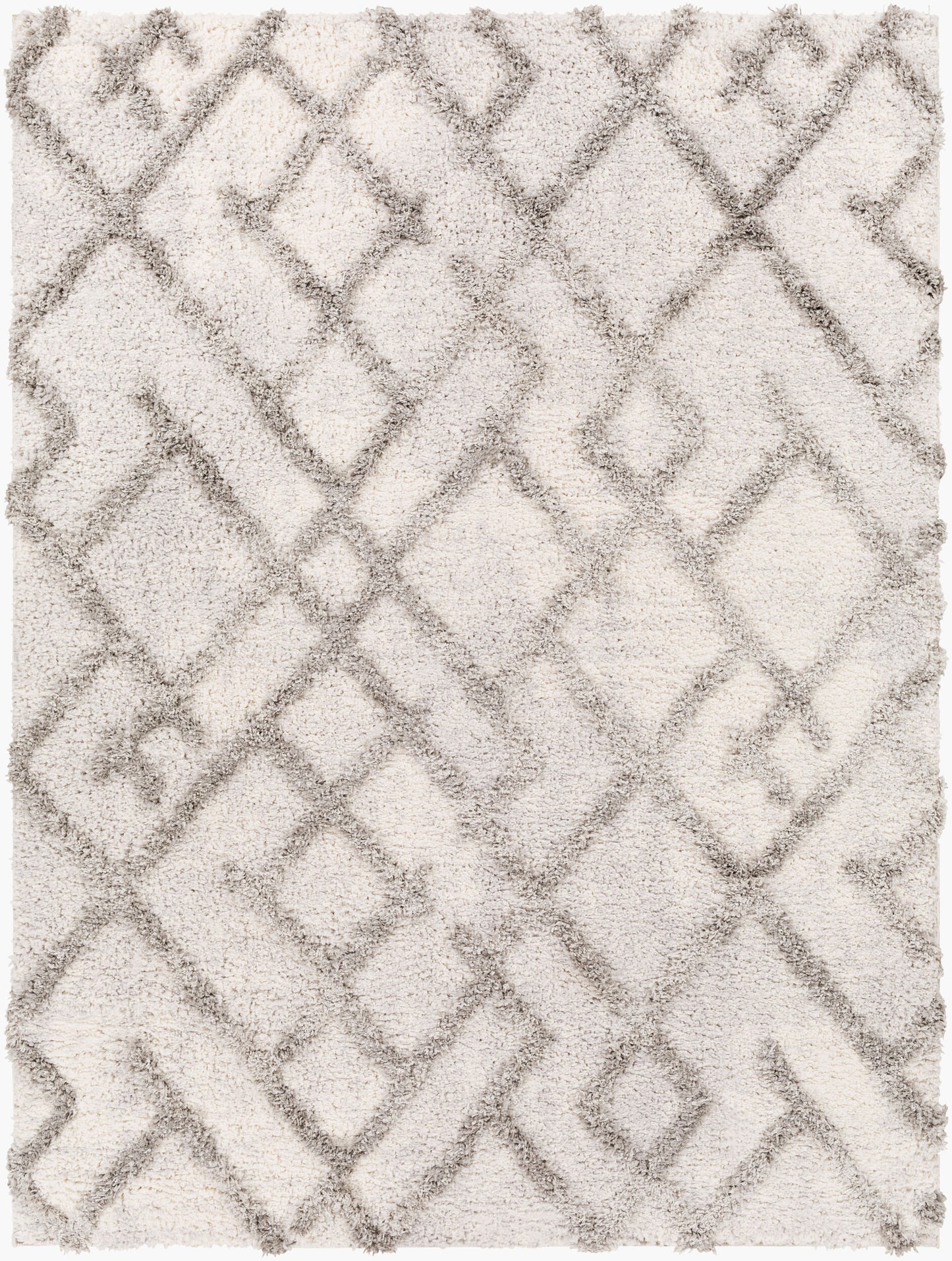 Everton ETN-2304 2' x 3' Machine Woven Accent Rug