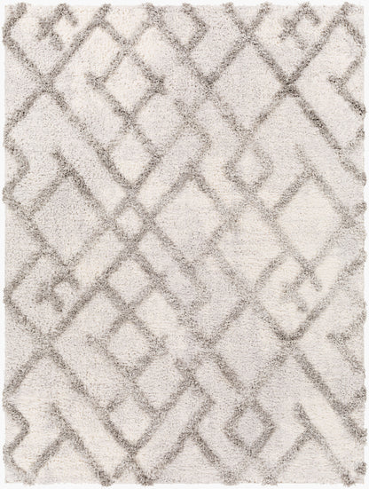 Everton ETN-2304 2' x 3' Machine Woven Accent Rug