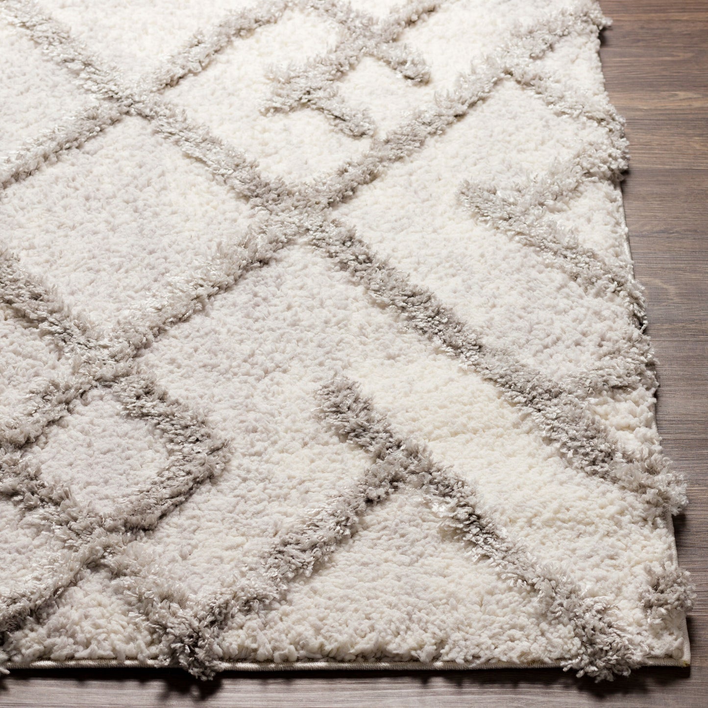 Everton ETN-2304 2' x 3' Machine Woven Accent Rug