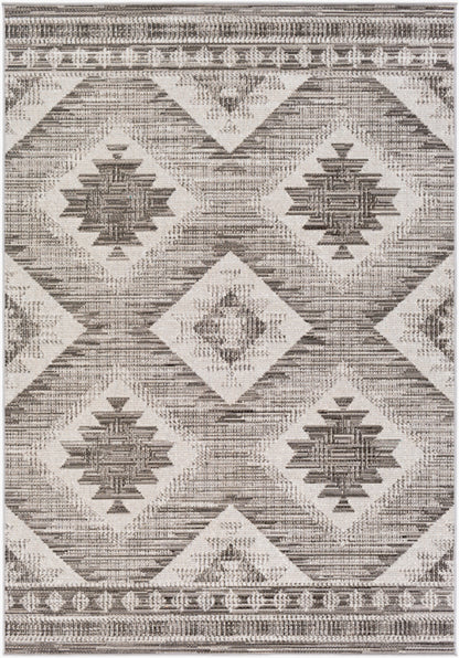 Rafetus ETS-2335 2' x 3' Machine Woven Accent Rug