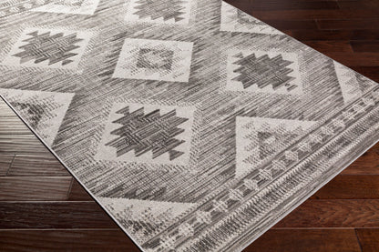 Rafetus ETS-2335 2' x 3' Machine Woven Accent Rug