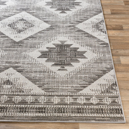Rafetus ETS-2335 2' x 3' Machine Woven Accent Rug