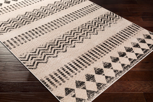 Rafetus ETS-2340 5' x 7' Machine Woven Area Rug