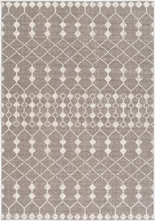 Rafetus ETS-2355 5' x 7' Machine Woven Area Rug