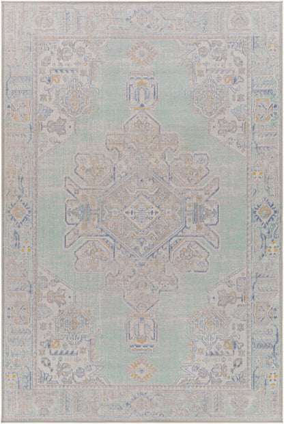 Rafetus ETS-2364 2' x 3' Machine Woven Accent Rug
