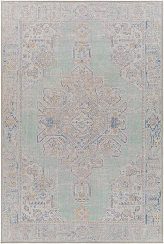 Rafetus ETS-2364 2' x 3' Machine Woven Accent Rug