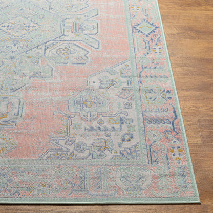 Rafetus ETS-2375 2' x 3' Machine Woven Accent Rug